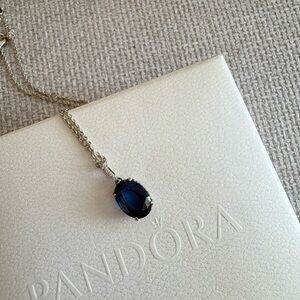 Pandora necklace